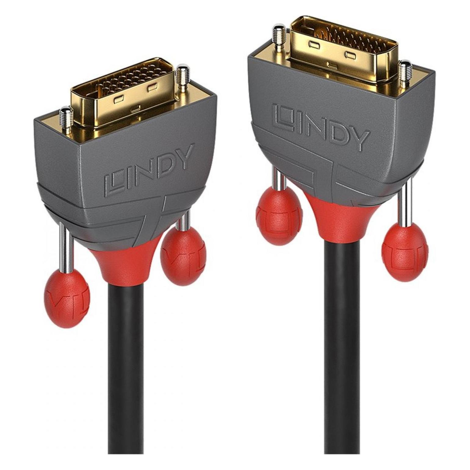 Lindy Dvi - Dvi (0.50 m) (36220)