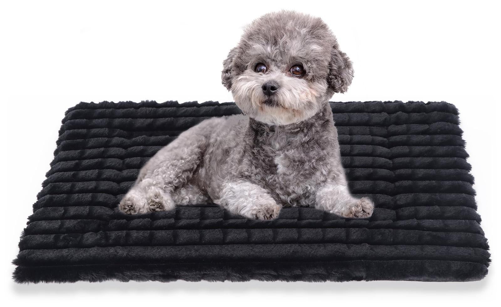 Huisdierbed van geheugenfoam voor kleine en middelgrote honden