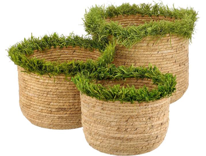 Dekokorb CREATIV HOME Korb , grün, B:24cm H:20cm T:24cm, Maisgeflecht, Aufbewahrungsboxen, Dekokorb, mit Farbakzent