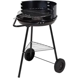 WellHome - 40x70 cm Holzkohlegrill aus Stahl