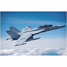 Hobby Boss - EA-18G Growler - 1:48 - 550 Teile 310176