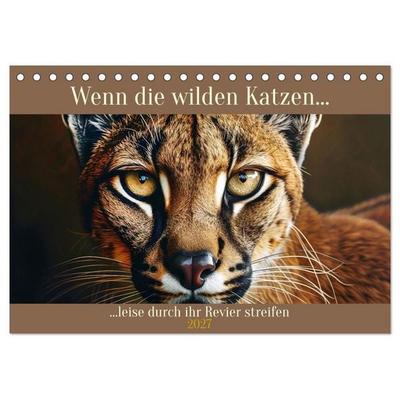 Wenn die wilden Katzen leise durch ihr Revier streifen (Tischkalender 2027 DIN A5 quer), CALVENDO Monatskalender