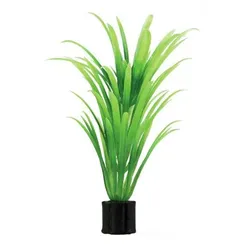 HOBBY Plant Tenellus minii 1,5 x 1,5 x 7 Centimeter Aquarieneinrichtung