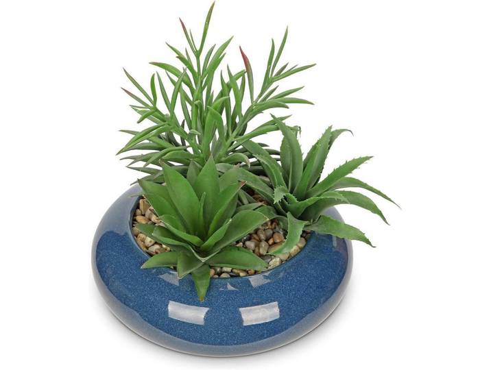 Kunstpflanze Sukkulente im Keramiktopf 18 cm Blau, 18 cm, Dekoration, Blumen & Blumentöpfe, Kunstpflanzen