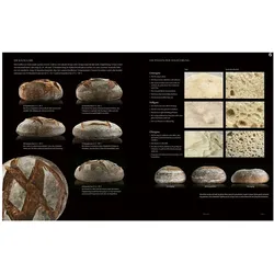 Modernist Bread at Home, Ratgeber von Francisco Migoya, Nathan Myhrvold
