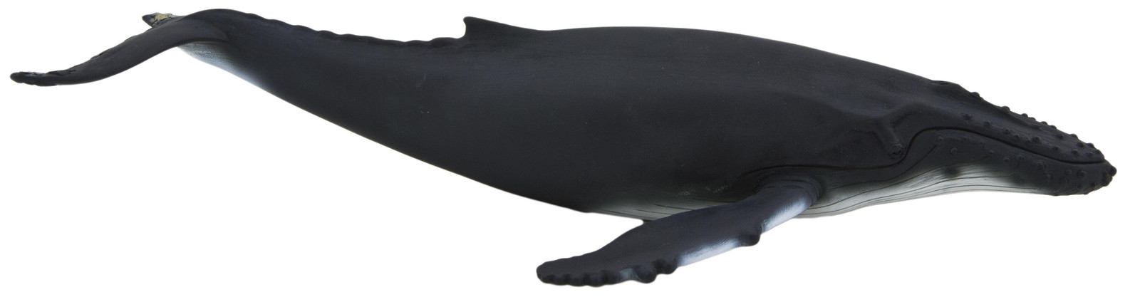 Animal Planet Bultrugwalvis knuffel klein model