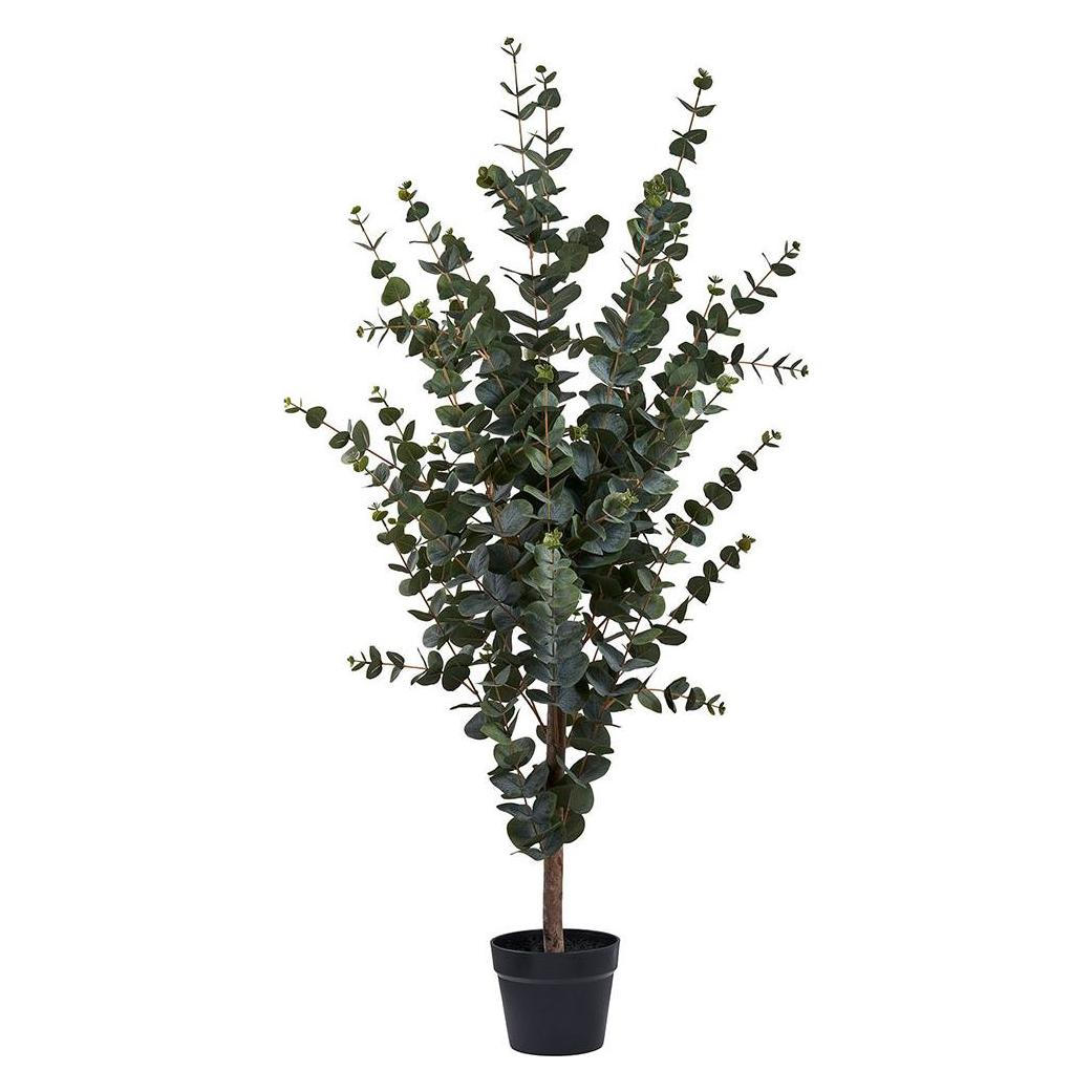 House Nordic Eucalyptus (120 cm) (46-9501015)