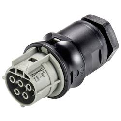 Wieland Electric 96.051.6054.3 Geräteanschluss
