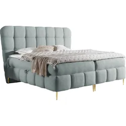 BOXBETT Lolly - H3