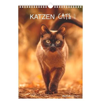 Katzen 2027
