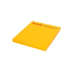 KODAK Portra 160 4x5 Inch 10 Blatt