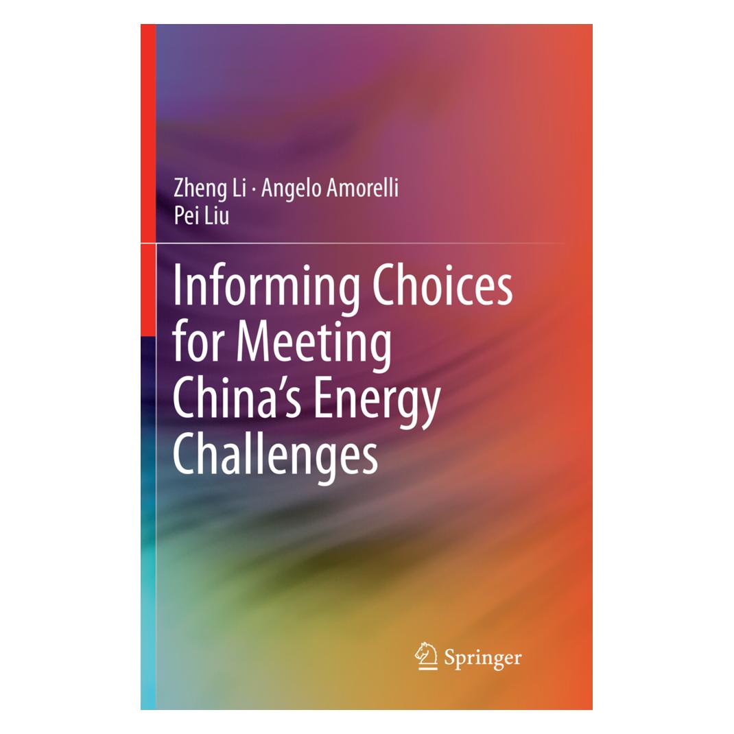 Springer Informing Choices for Meeting China's Energy Challenges (Englisch, Softcover, Angelo Amorelli, Pei Liu, Zheng Li) (55998727)