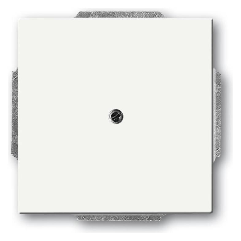Busch-Jaeger Zentralscheibe (2CKA001710A3873)