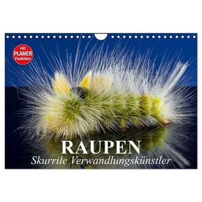 Raupen. Skurrile Verwandlungskünstler (Wandkalender 2027 DIN A4 quer), CALVENDO Monatskalender