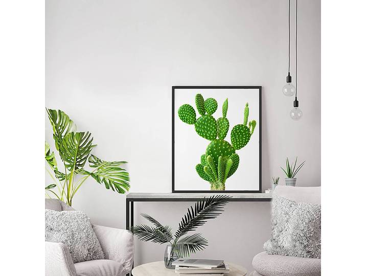 Tableau déco Cactus Cadre : hêtre massif verni Revêtement : plexiglas Multicolore 52 x 62cm