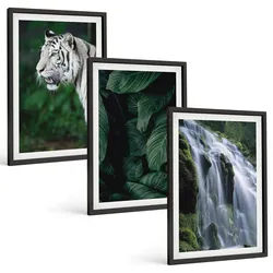 BILDER SET 3er Set - 40x60 cm Schwarzer Rahmen - Wasserfall aus weißen Tigerblättern