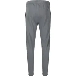 Virtus, Herren, Sporthose, Minne (L), Grau