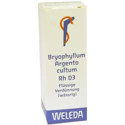 Bryophyllum Argento Cultum Rh D 3 Diluti 20 ml