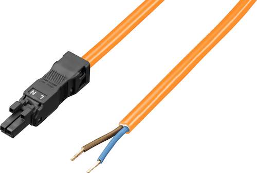 Rittal 2500420 Strom Netzkabel