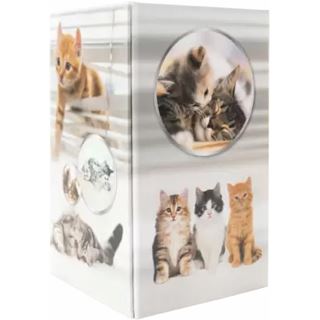 HERMA Stiftehalter Katzen Karton 8,0 x 8,0 x 13,5 cm