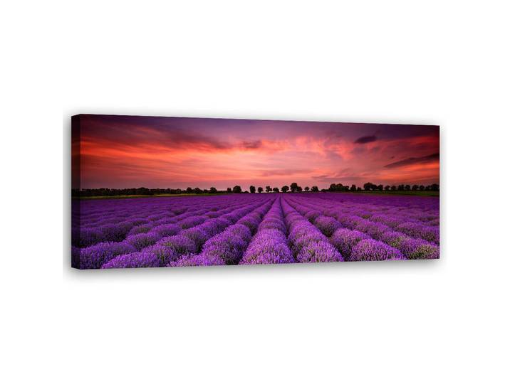 Feeby Wandbild feld mit violetten blumen, Lila, Landschaft/Berg, Rechteckig, 90x30 cm, Bilder & Rahmen, Bilder, Leinwandbilder