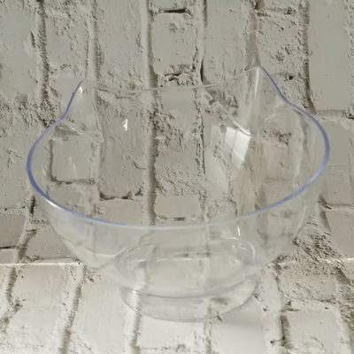 Inspire Curations DineEase Elevated Double Pet Bowl With Non Slip Stand transparent Bowl