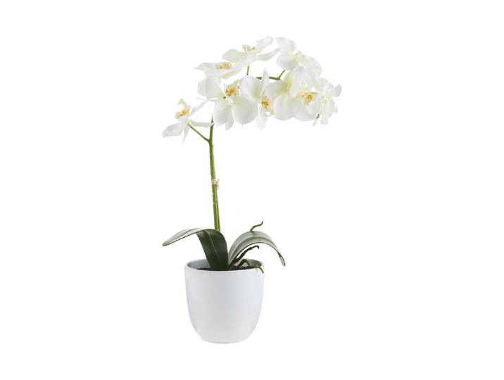 Mica Kunstpflanze Phalaenopsis Weiss im Topf 60 × 16 cm