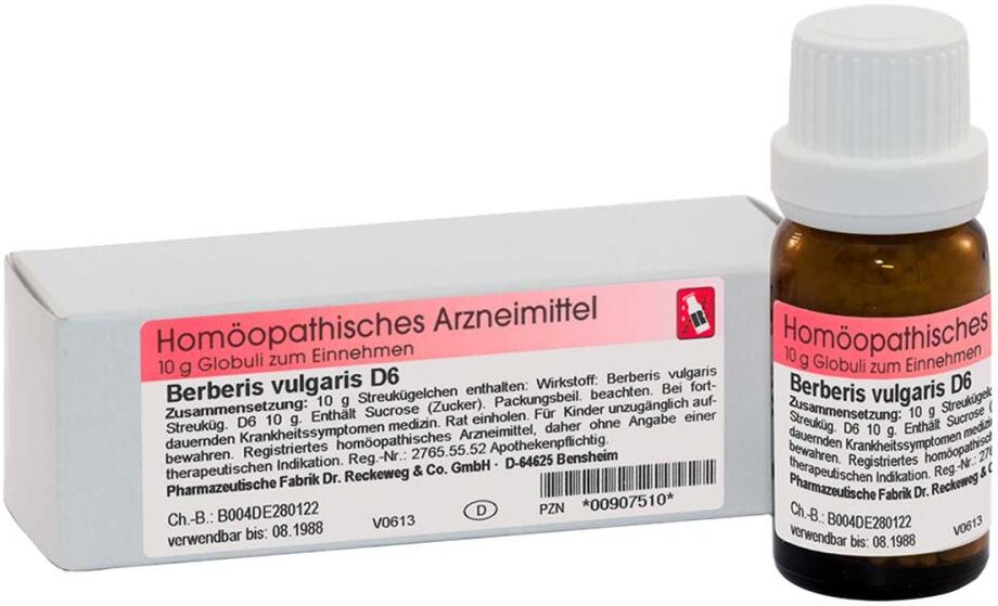 Dr. Reckeweg Berberis Vulgaris D6 10g