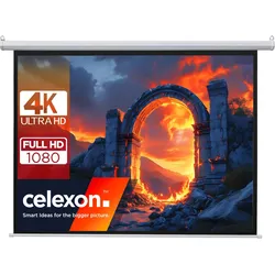 Celexon basic elektrische Beamer-Motor-Leinwand optimal für Heimkino, Präsentation, Schule und Busin (94.49", 1:1), Leinwand, Weiss