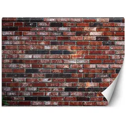 VLIESTAPETE Rot 200/140 cm