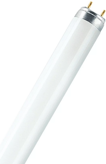 OSRAM LAMPE Lampe OSRAM LUMILUX T8 L 58 W/865 6500 K, 58 W, 865, 1500 mm