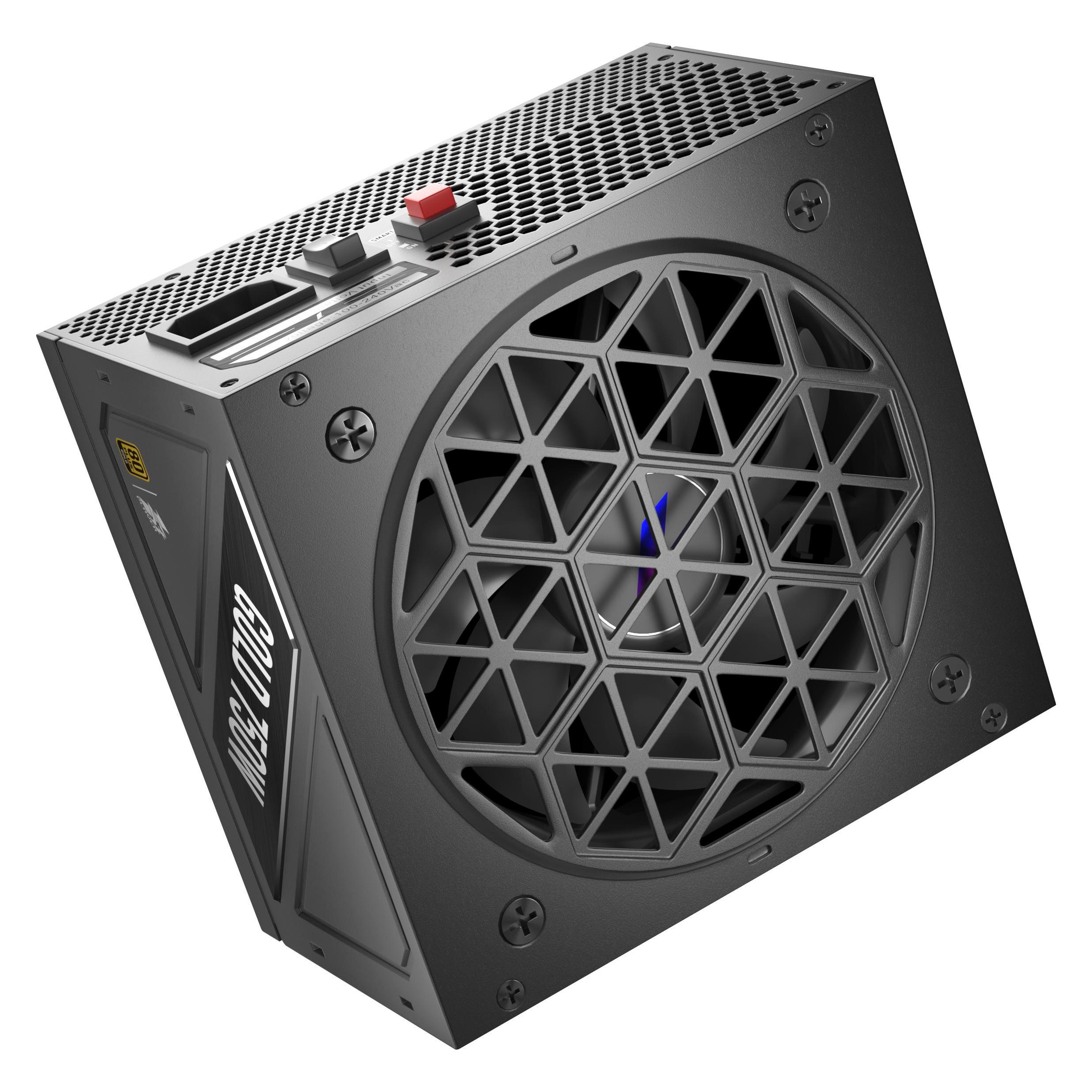 1stplayer Alimentation ATX NGDP Gold - 750W (Noir) (750 W) (NGDP-GLD-750-BK-EU)