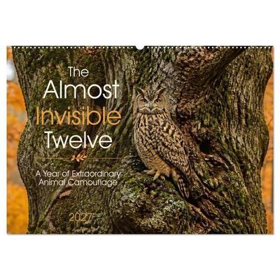 The Almost Invisible Twelve (Wall Calendar 2027 DIN A2 landscape), CALVENDO 12 Month Wall Calendar