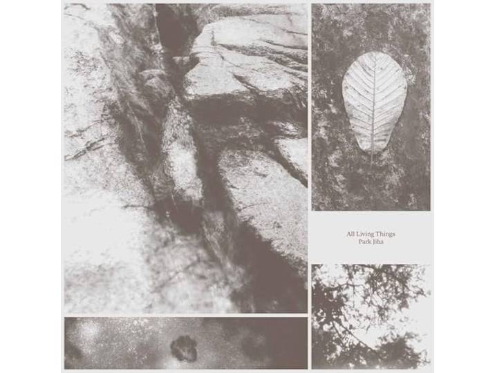 Park Jiha: All Living Things