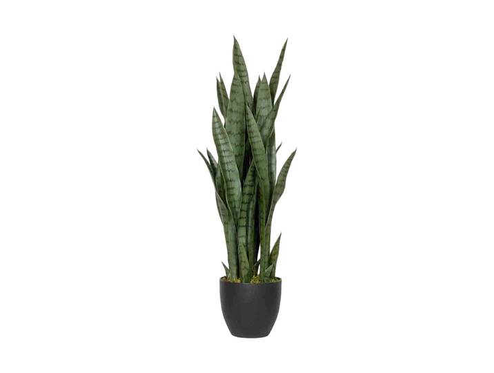 Lebensechte Kunstpflanze „Sansevieria“ Grün Baq Design