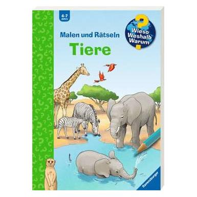 Brio Display 1/4 Gerade Gleise (A2, B2, C2) (32931)