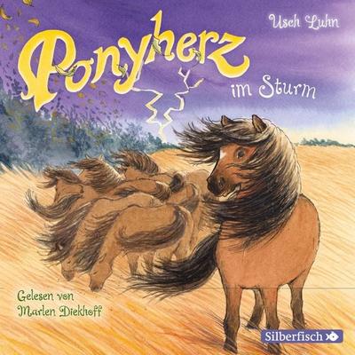 Ponyherz 14: Ponyherz im Sturm - Usch Luhn, Audio, 9783844921366
