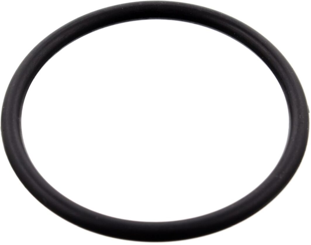 Dichtung, Thermostat FEBI BILSTEIN 100077