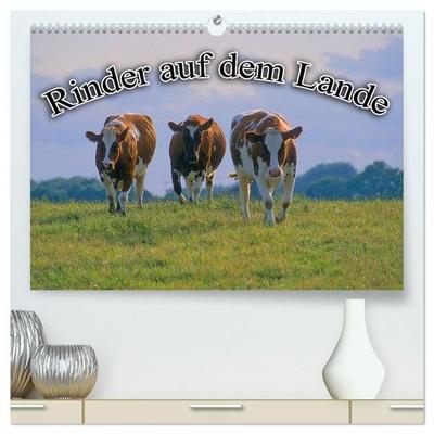 Rinder auf dem Lande (hochwertiger Premium Wandkalender 2027 DIN A2 quer), Kunstdruck in Hochglanz