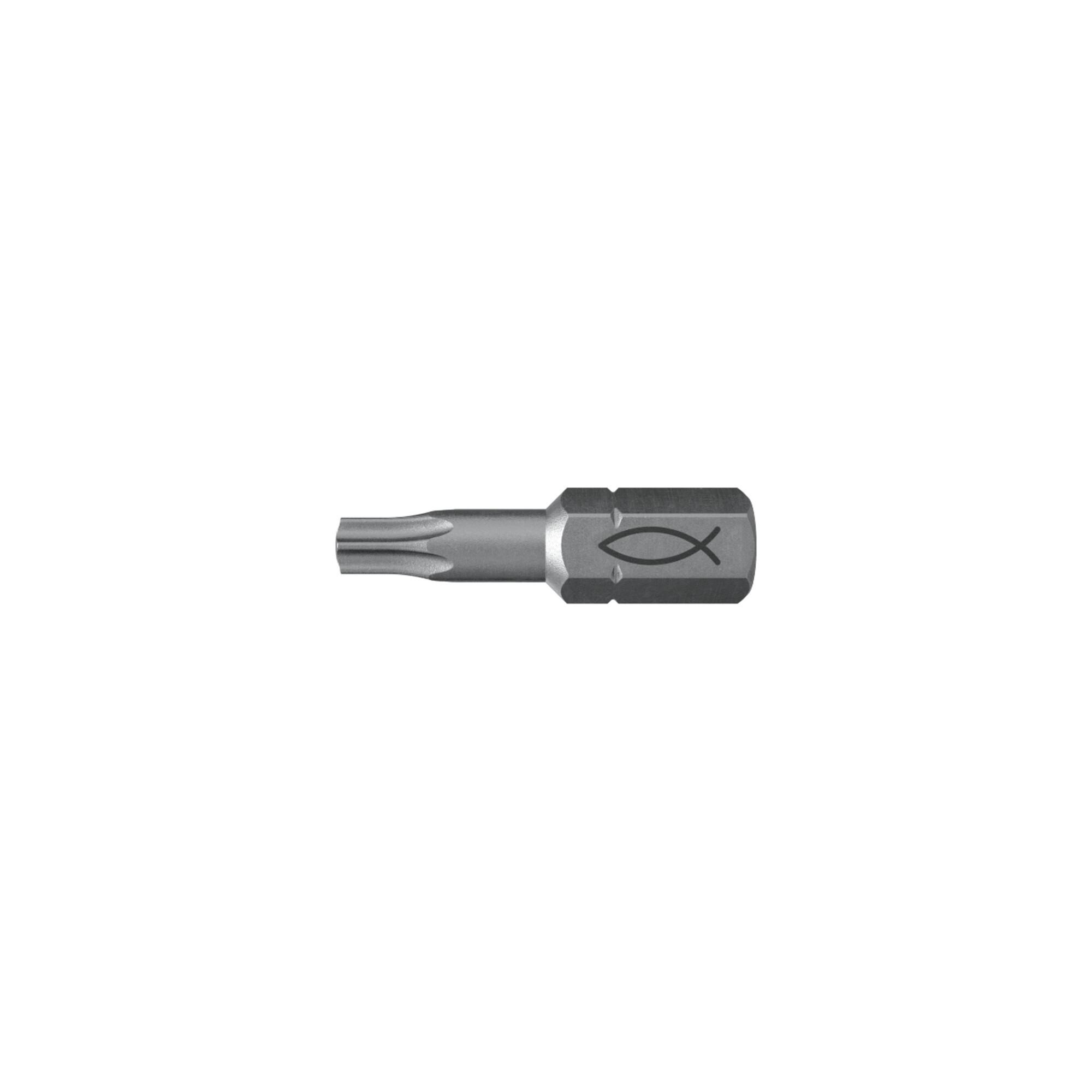 fischer Profi Bit FPB T 30 (557849)