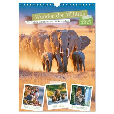 Wunder der Wildnis (Wandkalender 2027 DIN A4 hoch), CALVENDO Monatskalender
