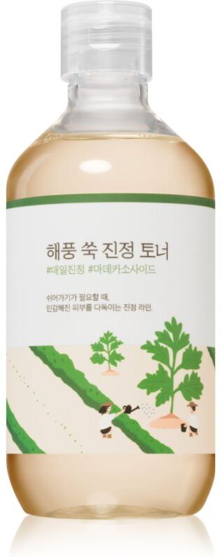 ROUND LAB Mugwort Calming Toner beruhigendes Hauttonikum 300 ml