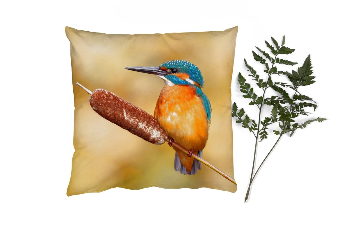 Sierkussen IJsvogel Natuur voor de Woonkamer, 60 x 60 cm