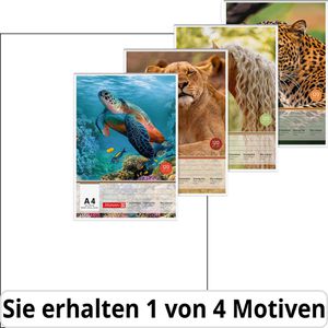 Brunnen Zeichenblock 104744509, A4, 120 g/m², weiß, geleimt, 20 Blatt