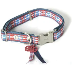 Image Dog Save (Hund, Allgemein, Spazieren), Halsband + Leine