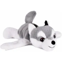Doudou et Compagnie Schnapparmband Husky 25cm (MQ1) (8 cm)