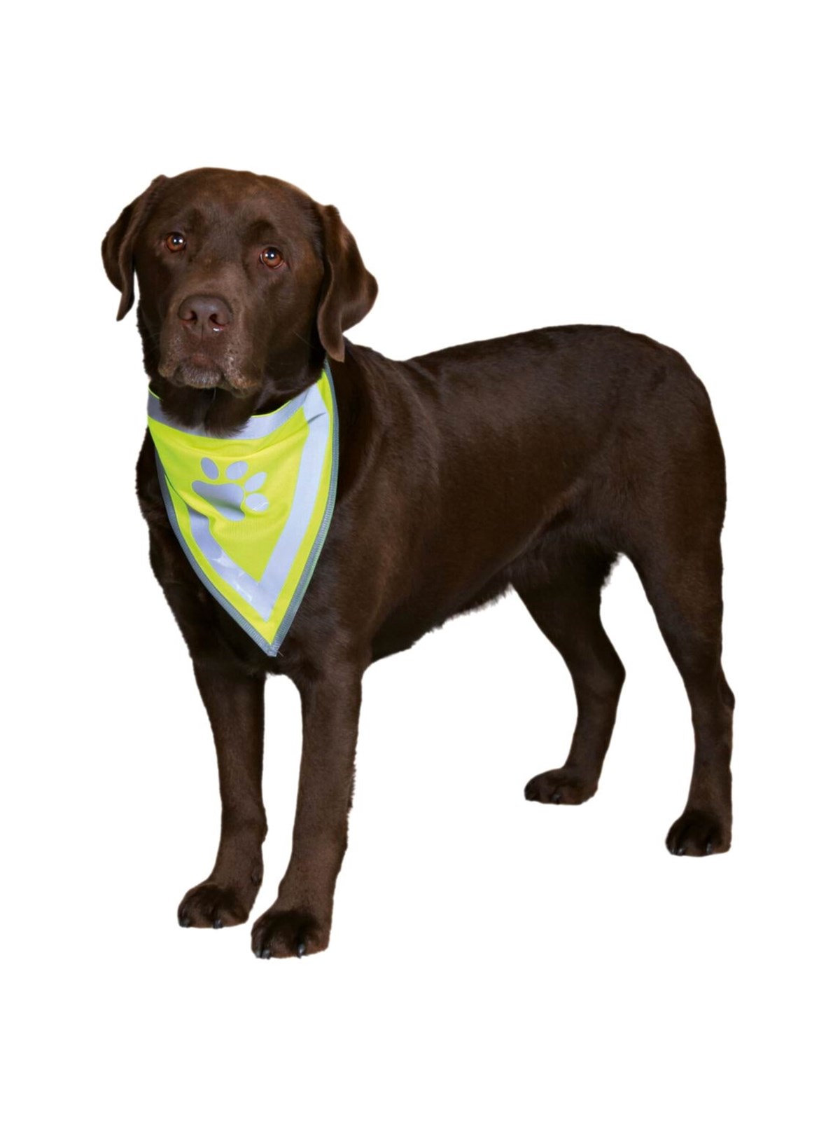 Trixie Sicherheits-Halstuch für Hunde S-M 29-42cm