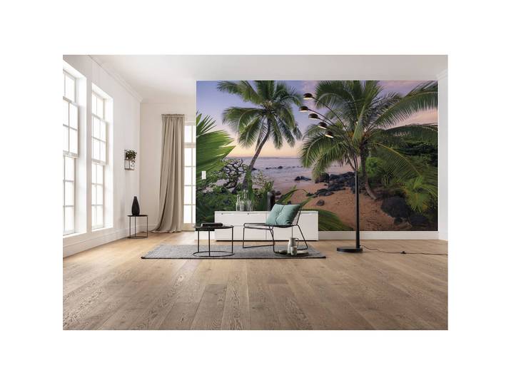 Papier peint intissé Hawaiian Dreams 450 x 280cm