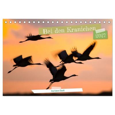 Bei den Kranichen (Tischkalender 2027 DIN A5 quer), CALVENDO Monatskalender