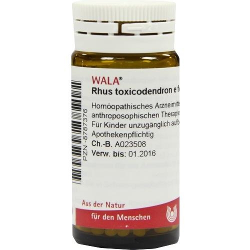 WALA Heilmittel GmbH Rhus Tox. E Fol. D6 Globuli 08787376